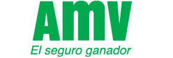 AMV SEGUROS